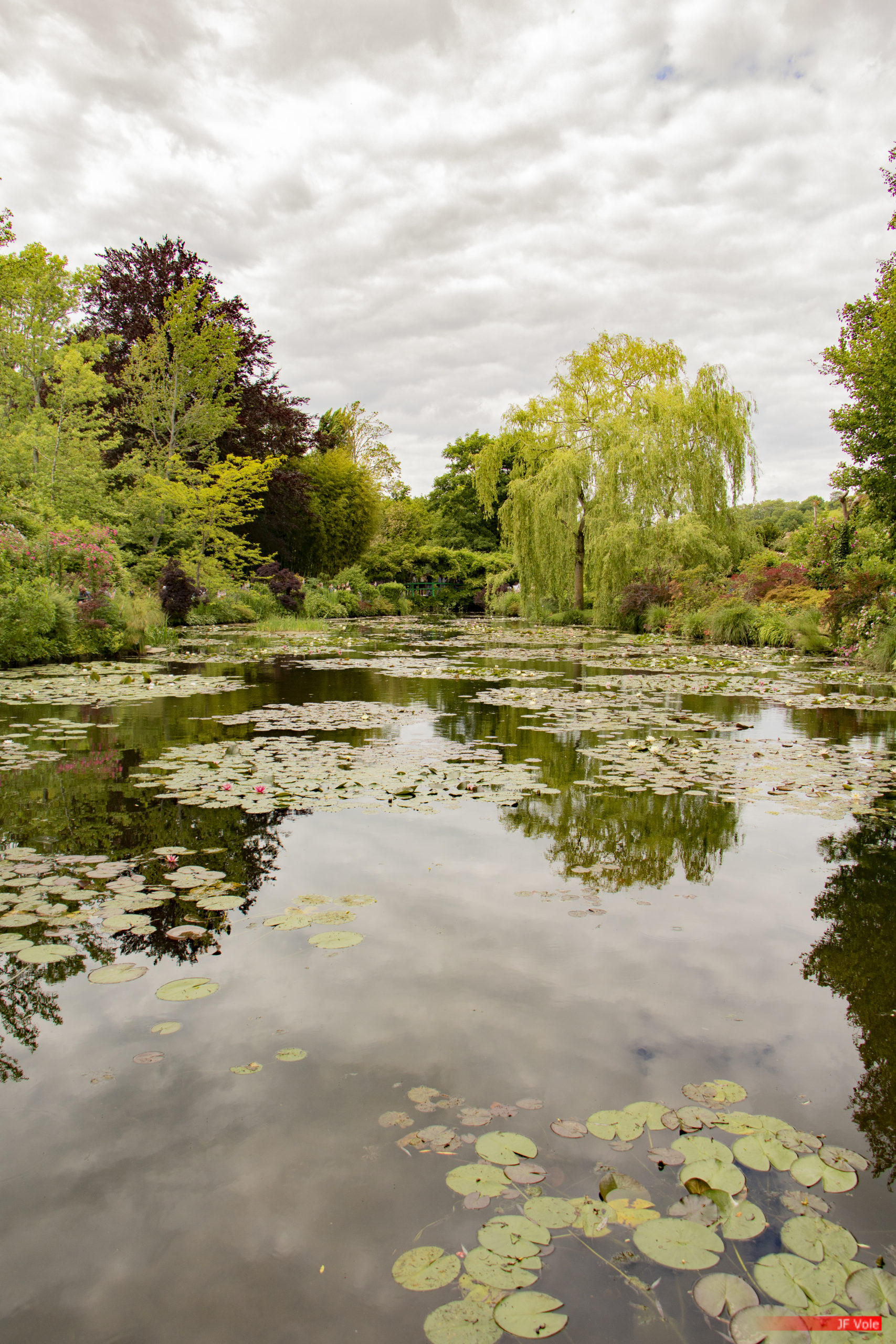 Jardin de Claude Monet, Giverny, juin 2019.